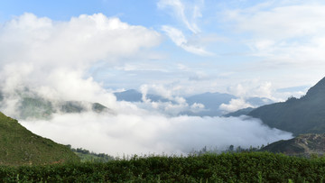 乡村雾景