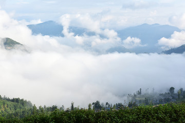 乡村雾景