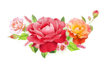 鮮艷花
