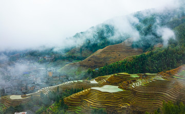 高山