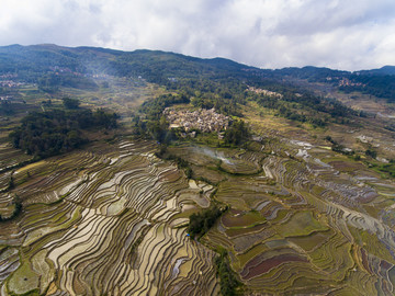 云南红河元阳梯田坝达景点