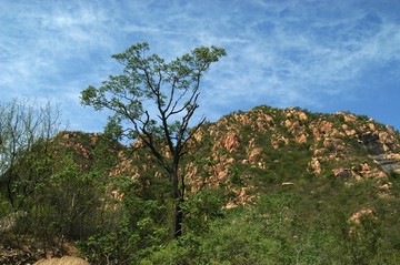 高山