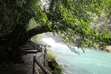 茂兰溪水河流