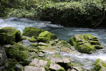 茂兰溪水河流