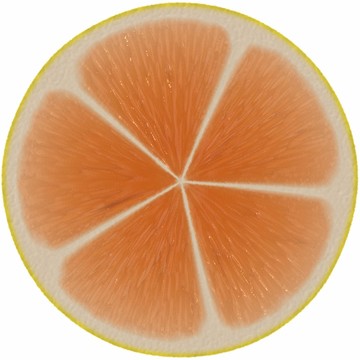 橙子断面