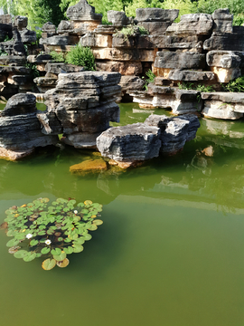 水池造景