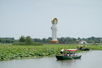 荷花大观园