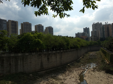 街头风景