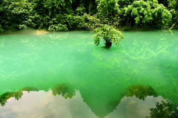 荔波小七孔风景