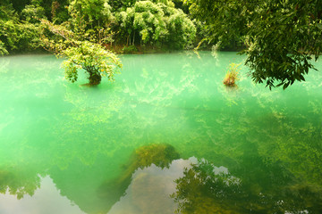 荔波小七孔风景