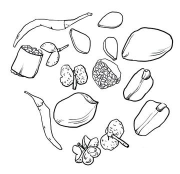麻辣花生元素插畫