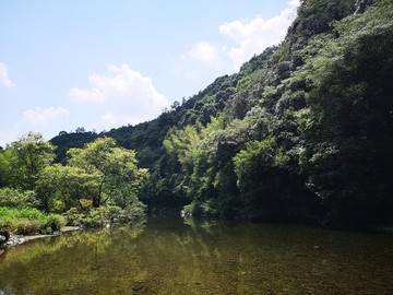 青山绿水