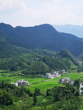 乡村美景