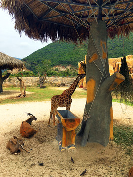 动物花园里的长颈鹿
