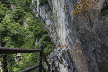 宝天曼旅游