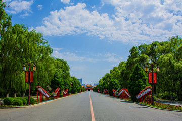 北陵公园通向南门的路两侧松树