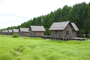 青草草地上的木屋村寨子