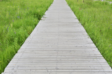 草地上的木栈桥