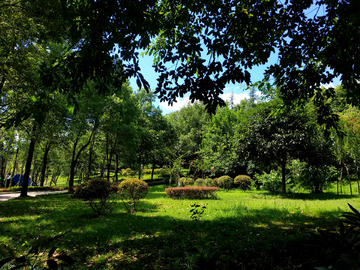 公园绿化风景