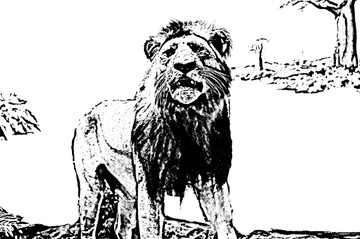 雄獅