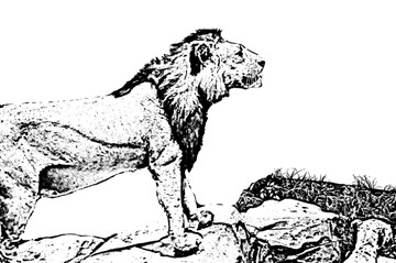 獅子