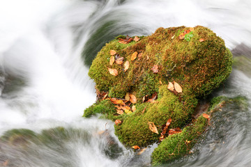 水流与苔藓