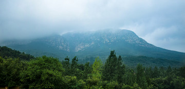 大雾笼罩的高山