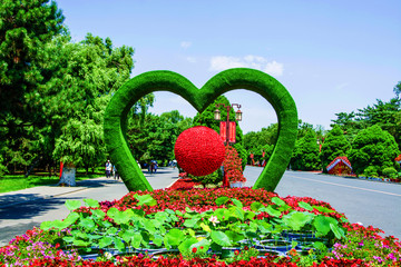 绿心红球园林艺术造型花坛