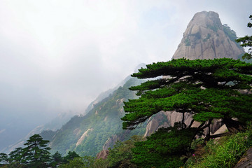 黄山怪石奇松