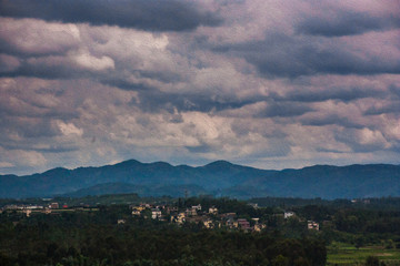 风景油画