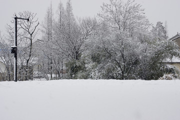 清凉雪景