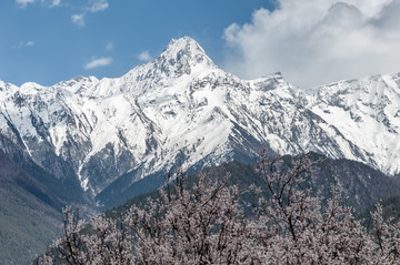 南迦巴瓦峰