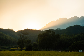 山野