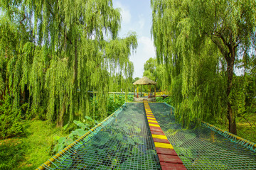 潍坊金宝乐园吊桥风景
