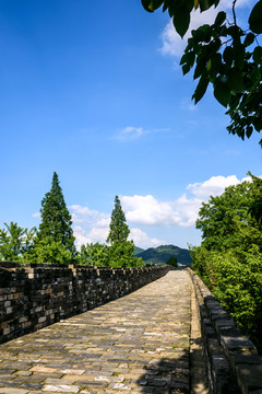 明城墙与紫金山