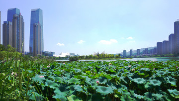 蓝天下的城市风貌