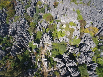 航拍云南昆明石林风景区