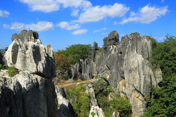 云南昆明石林风景区