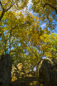 云南昆明石林风景区