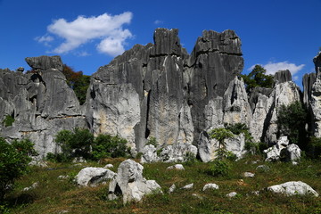 云南昆明石林风景区