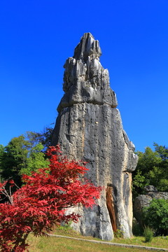 云南昆明石林风景区