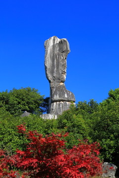 云南昆明石林风景区