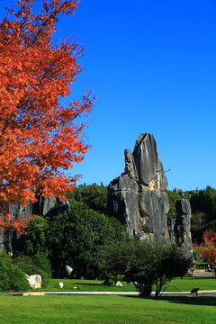 云南昆明石林风景区小石林景区