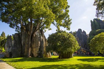 云南昆明石林风景区