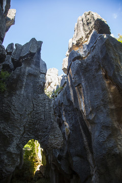 石林风景区