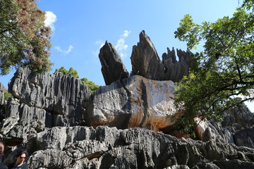 石林风景区