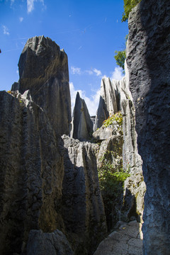 石林风景区