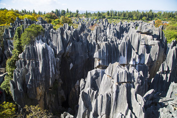 石林风景区