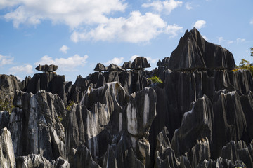 石林风景区