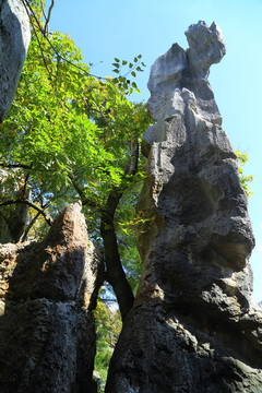 石林风景区